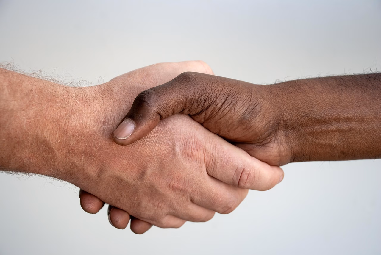 happens, handshake, people, contract, diversity, hand, black, white, handshake, handshake, handshake, handshake, handshake